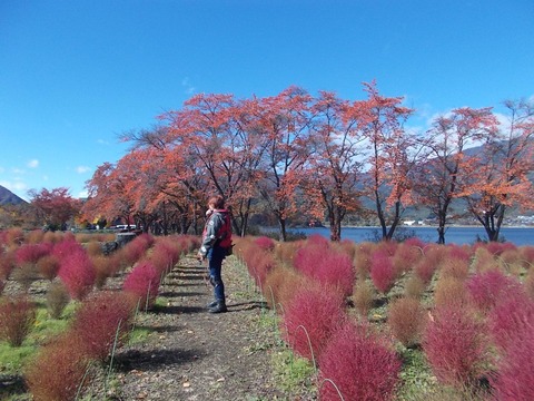 IMG_20251112_185039_901