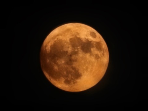 20260629_202209~3
