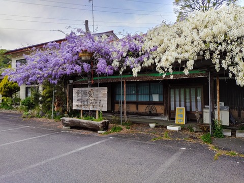 IMG00382_HDR~2