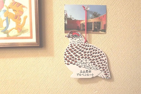 YJjhzeZfxrkD6VW1663288803_1663288838