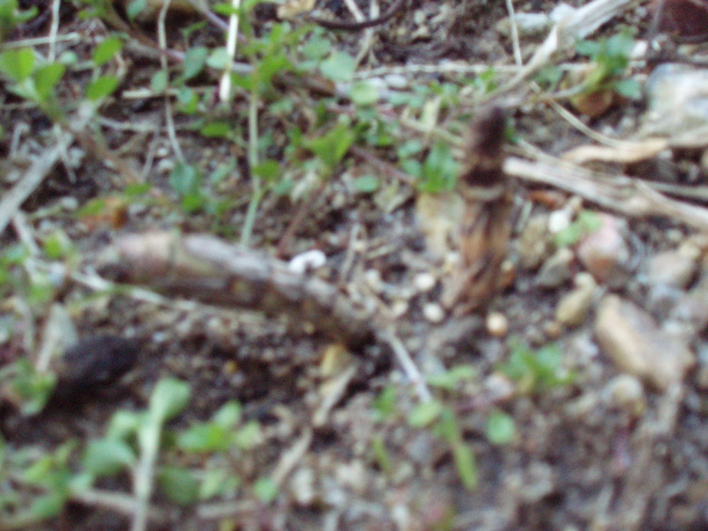 ae7025e9.jpg