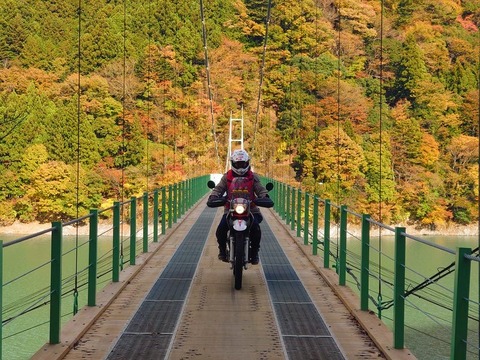 o1200090015514487851 (1)~2