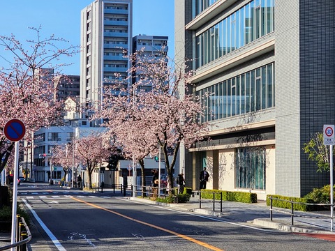 20240310_080931(0)~3