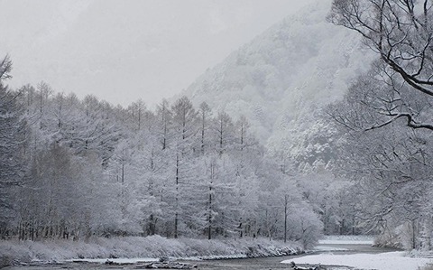 V1sVPPrbjwY2dcv1700549172_1700549197