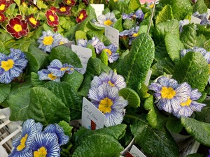 LINE_ALBUM_2025122_250122_9