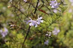 IMG_3312