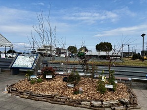 S__63643663_0