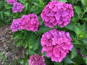S__405659653