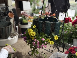 S__40943760_0