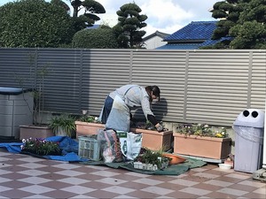 IMG_1155