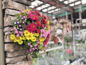 S__40943727_0