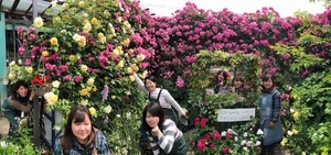 201905アンジェラ_190515_0002