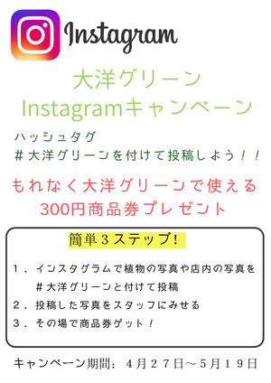 インスタ企画