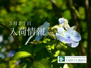 S__41025544_0