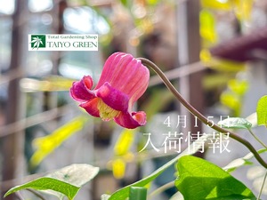 S__40124418_0