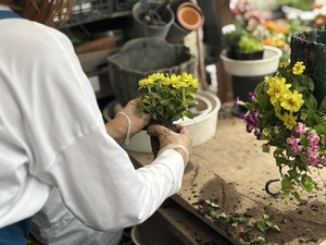 S__40943759_0