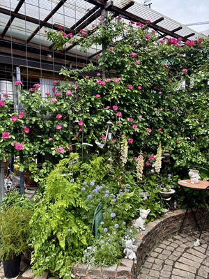 S__64774170_0