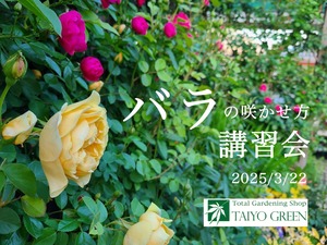 S__39346206_0