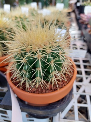 LINE_ALBUM_2024109_241009_16