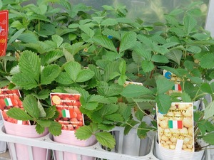 LINE_ALBUM_20241023_241023_2
