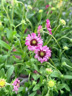 IMG_6104