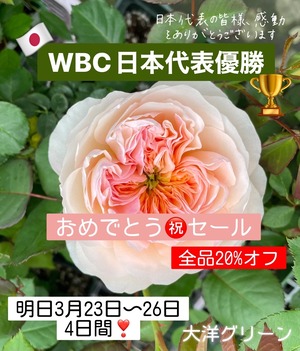 7A6080AE-BA4D-4D3D-9D6E-0DF646A986F7