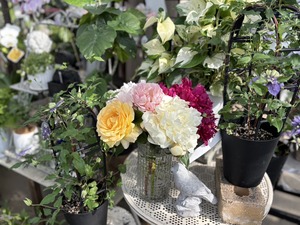 S__40656904_0