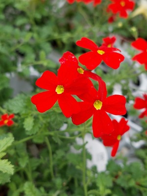 LINE_ALBUM_2024922_240922_1