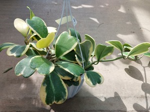 LINE_ALBUM_2024917_240917_3