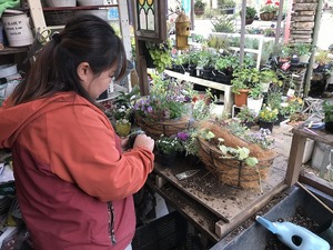 IMG_1156