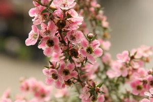 IMG_5490