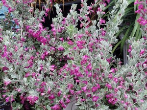 LINE_ALBUM_2024910_240910_3