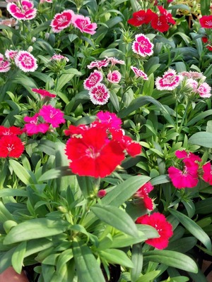 LINE_ALBUM_202493_240903_21