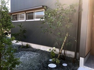 S__5767174