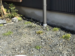 S__5767200
