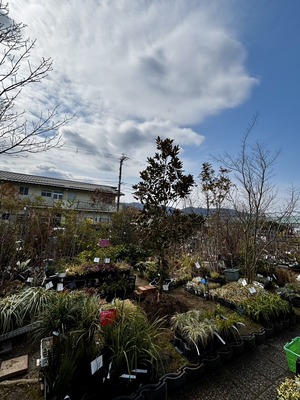 S__63643658_0
