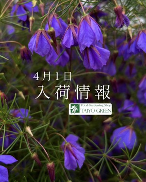 S__39551006_0