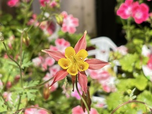 S__40419385_0