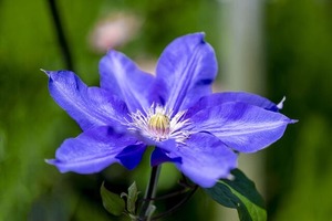 S__49889298_0