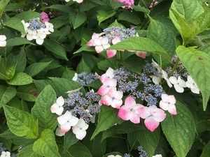 S__405659654