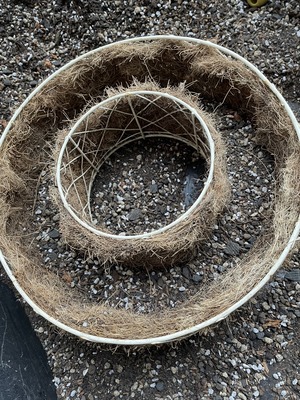 S__38592525_0