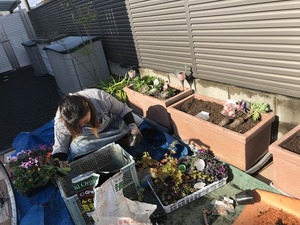IMG_1154