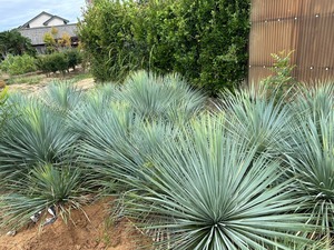 LINE_ALBUM_2024104_241004_6