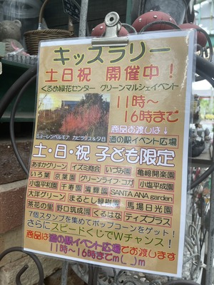 S__50880518_0