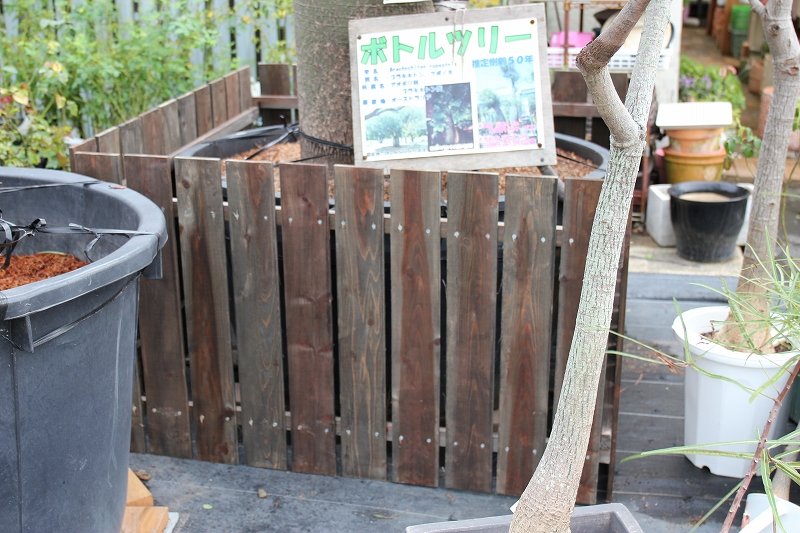 ボトルツリーの鉢に少し飾りを☆彡 : 大洋グリーンブログ