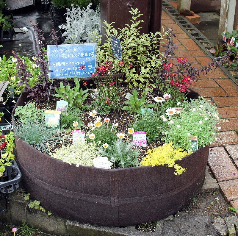 じわじわ来てます ルーツポーチ 大洋グリーンブログ じわじわ来てます ルーツポーチ 大洋グリーンブログ