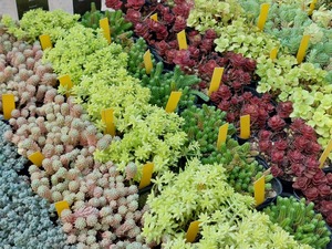 LINE_ALBUM_2024917_240917_2