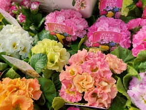 LINE_ALBUM_2025122_250122_13