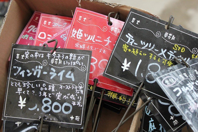 お盆休み中ですが 台風が心配です 大洋グリーンブログ お盆休み中ですが 台風が心配です 大洋グリーンブログ