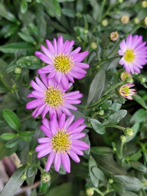 LINE_ALBUM_2024922_240922_4
